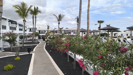 IMG 20260510 173331