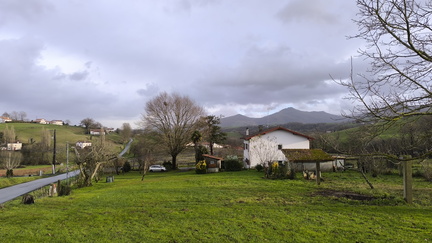IMG 20260109 161751