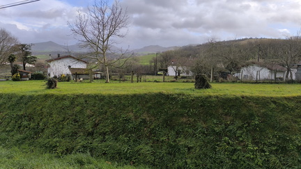 IMG 20260109 160544